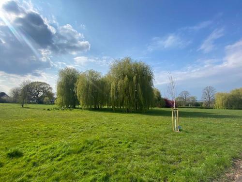 Charming Ealing garden flat with a free parking - Tap to explore photos