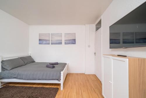 Spacious 1 Bed Flat in Dalston - Tap to explore photos