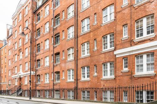 Cozy Apt in Central London