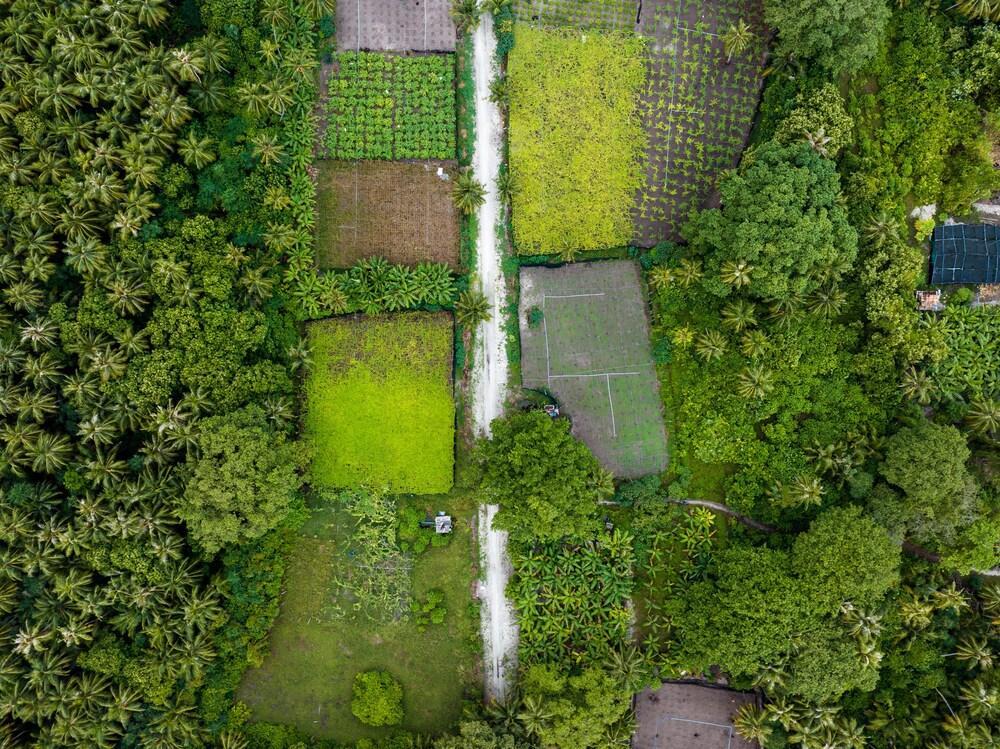 Island Zephyr - Tap to explore photos