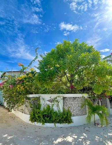 Seaside Dhigurah - Tap to explore photos