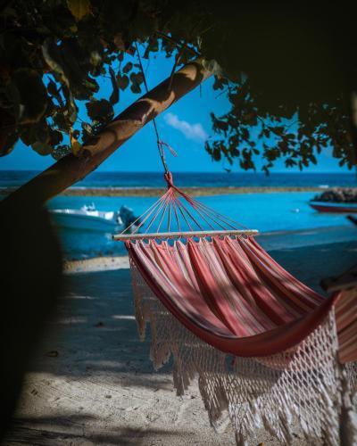 Summer Vibes Beach Front - Tap to explore photos