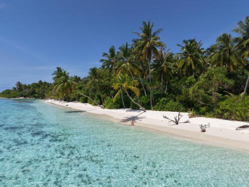 Hitha Maldives - Omadhoo - Tap to explore photos