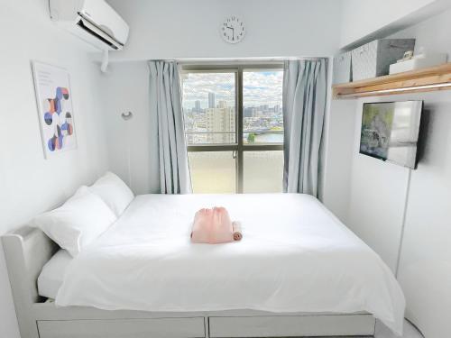 Kameari 1110 Newly Renovated High Floor City View 2min to Mall 5min to Station Disney Access - Tap to explore photos