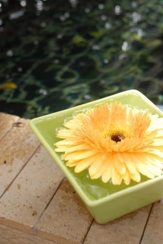 Baan Dinso - Tap to explore photos