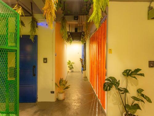 Khao San Social Capsule Hostel Room Type - Single Bed in Female Dormitory Room Khao San Social Capsule Hostel Room Type - Single Bed in Female Dormitory Room