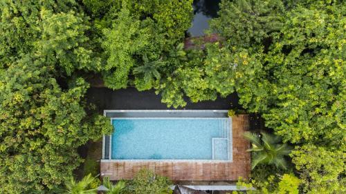 Blu Monkey Pooltara Krabi Hotel & Villas Pet Friendly - Tap to explore photos