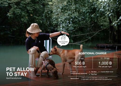 Blu Monkey Pooltara Krabi Hotel & Villas Pet Friendly Room Type - Deluxe Family Room Blu Monkey Pooltara Krabi Hotel & Villas Pet Friendly Room Type - Deluxe Family Room