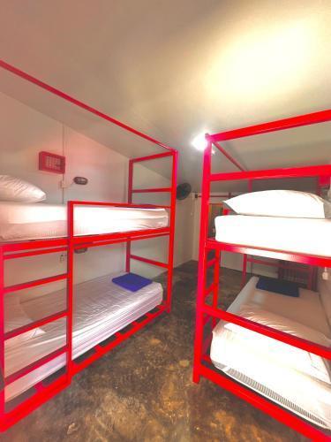Slumber Party Krabi Room Type - Bed in 4-Bed Mixed Dormitory Room