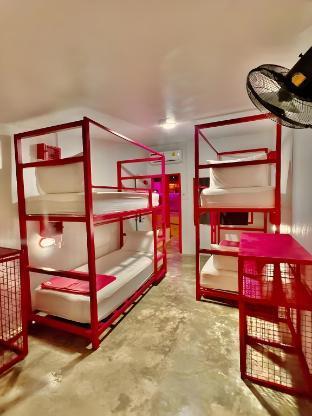 Slumber Party Krabi - Tap to explore photos