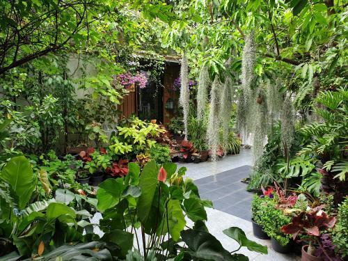 37 Nature House