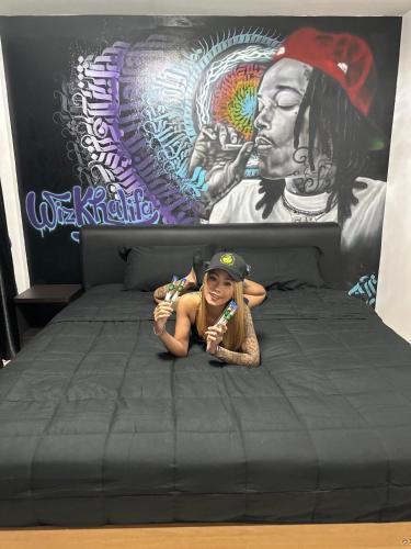 Bonkers Guesthouse - Tap to explore photos