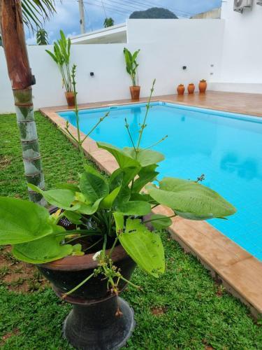 8 Palm Villa - Large Private Pool Villas in Aonang - Tap to explore photos
