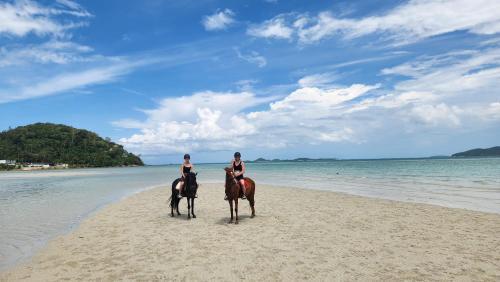 Shanti samui Resort - Tap to explore photos