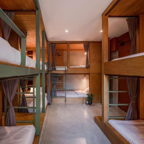 Tamni Room Type - Bunk Bed in Female Dormitory Room  
