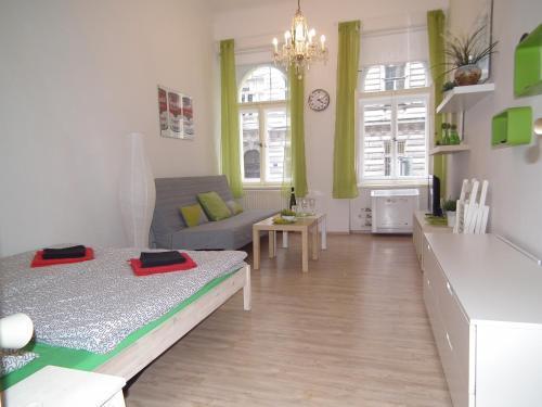 Apartment in the centre Room Type - Apartment