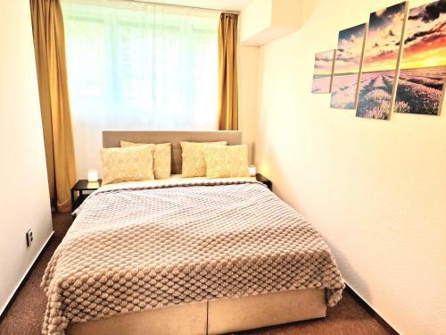 Wellness Gold apartment with Private SAUNA