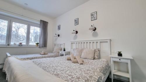 Finnem Rentals Jičínská Room Type - Apartment