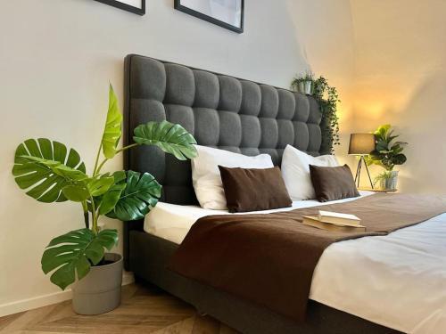 Beautiful New Town Apartment - Tap to explore photos