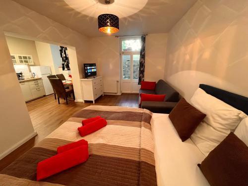 Riverbridge Apartments Prague Room Type - Studio with Terrace