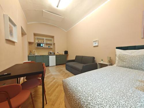 Spacious, Light Studio Apartment in Vinohrady Room Type - Standard Studio