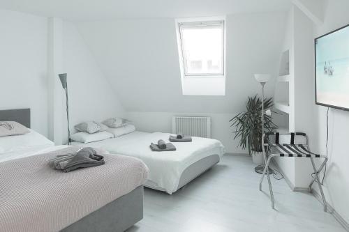 Skolska Winter Terrace apartment - Tap to explore photos