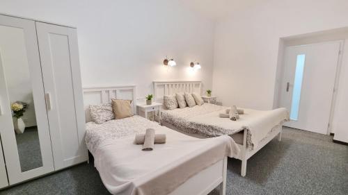 Finnem Rentals Florenc Room Type - One-Bedroom Apartment