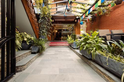 Kailash Boutique Hotel - Tap to explore photos