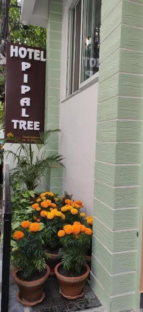 Hotel Pipal Tree - Tap to explore photos
