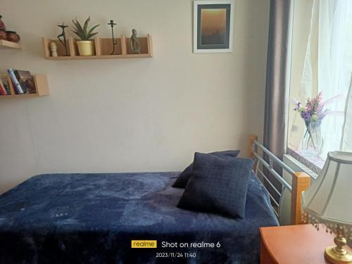 Goldy's place in E17 - Tap to explore photos