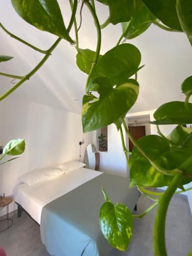 Il Tramonto Room Type - One-Bedroom Apartment Il Tramonto Room Type - One-Bedroom Apartment