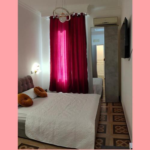 Rosa Italia Hotel Roma - Tap to explore photos