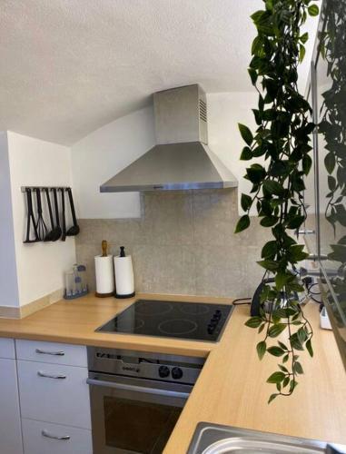 Spacious flat in the most desirable area of London - Tap to explore photos