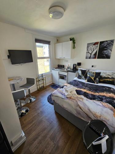 Tiny Studio, 30 min to St. Pancras, North London - Tap to explore photos