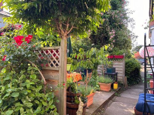 UNIQUE beautiful peaceful conservation area - 20m to town