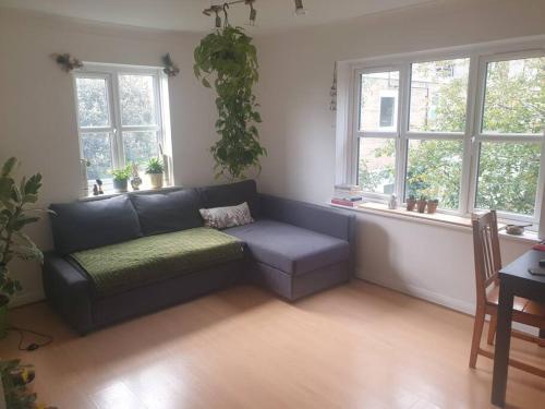 Peaceful room on sharing flat in Wimbledon - Tap to explore photos