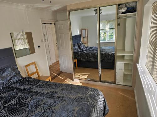 Peaceful room on sharing flat in Wimbledon