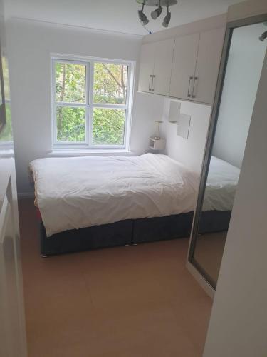 Peaceful room on sharing flat in Wimbledon - Tap to explore photos
