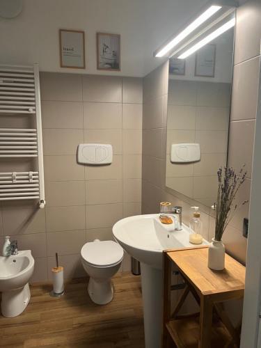 Domus Romea Room Type - One-Bedroom Apartment