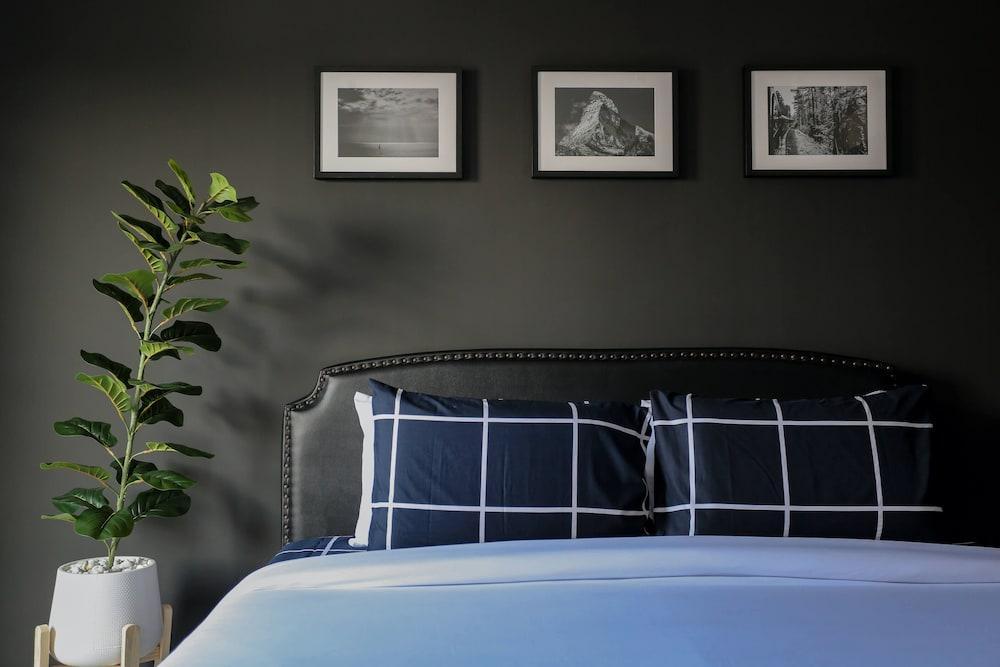 Black Turtle Room Type - Single Room, 1 King Bed, Shared Bathroom
