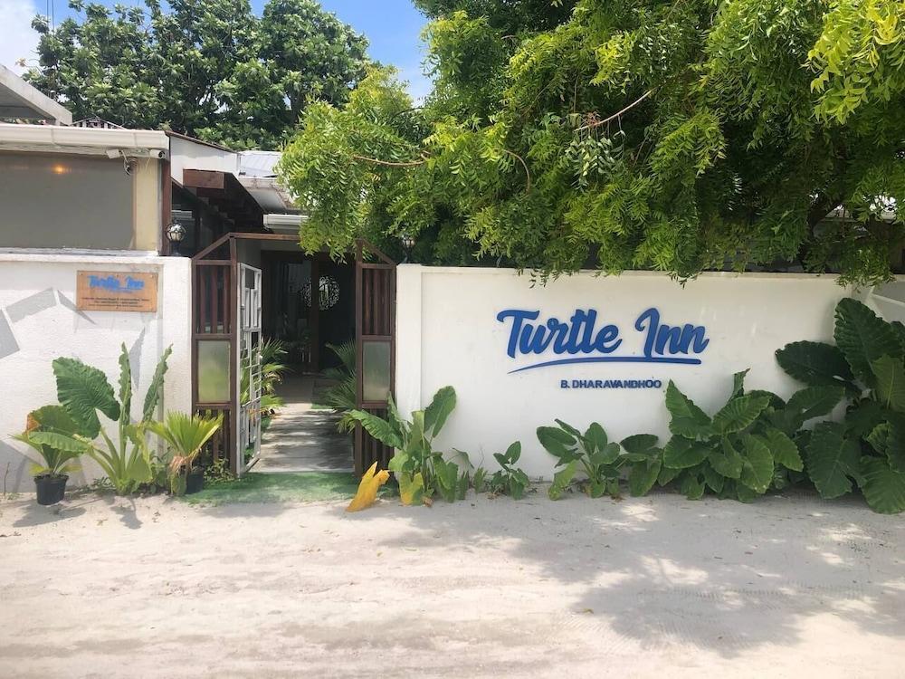 Turtle Inn Dharavandhoo - Tap to explore photos