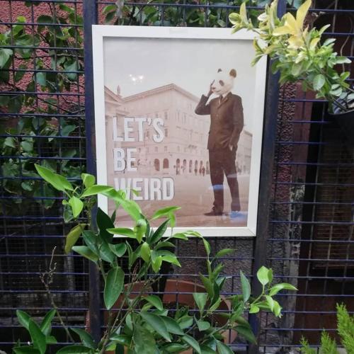 Gafa Garden Hostel & Apartments - Tap to explore photos