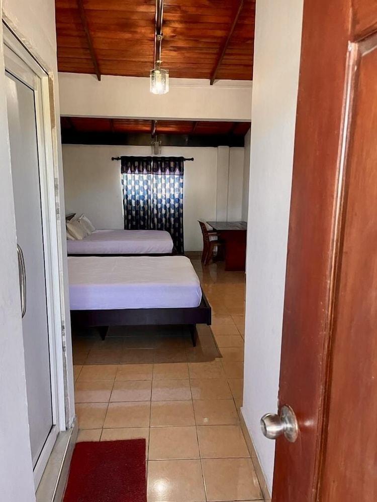 Venus Hotel Room Type - Standard Twin Room