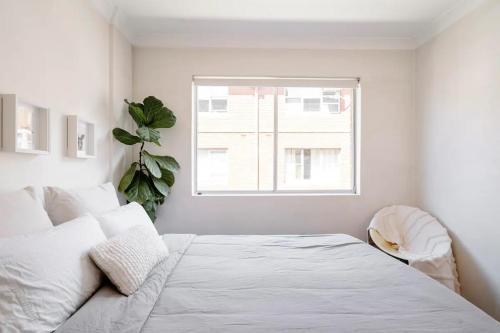Lovely bedroom in eastern suburbs - Tap to explore photos