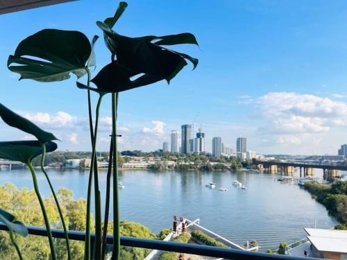 Stunning waterfront 3 bedroom condo with Pool, BBQ