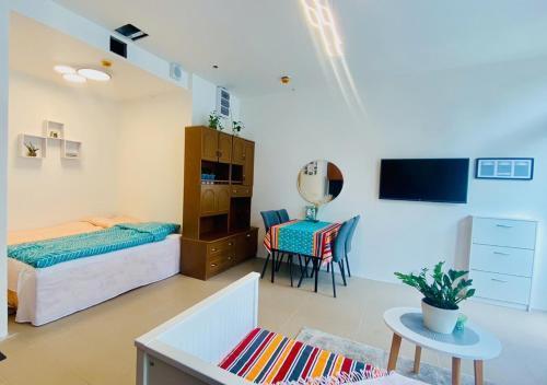 Free Parking - Green studio Apartment - private - ground floor - Near Center - Tap to explore photos