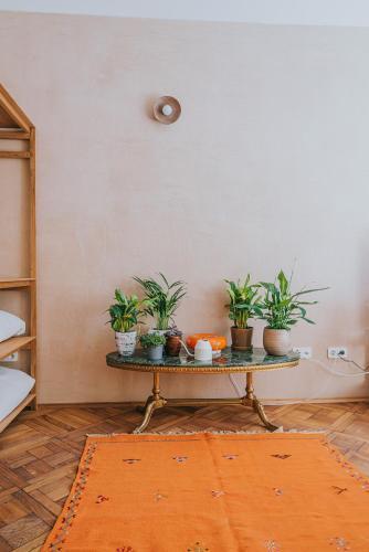 Bohemian Experience Room Type - Deluxe Apartment Bohemian Experience Room Type - Deluxe Apartment