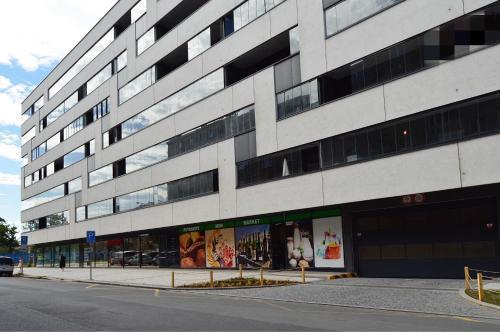 Apartment with Free Parking in Prague