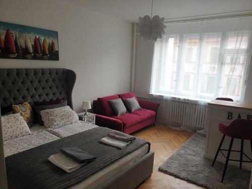 Newly refurbished central Room Type - One-Bedroom Apartment