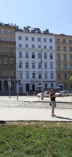 Apartman Namesti Miru